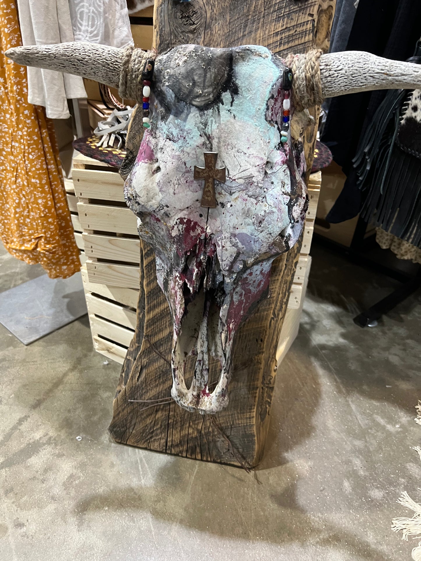 Cow Skull
